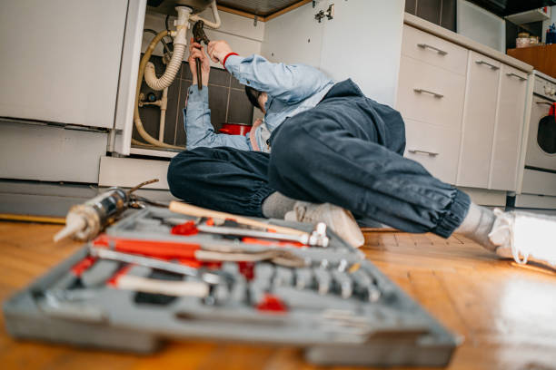 Best Toilet Repair Services  in Horseshoe Bend, AR
