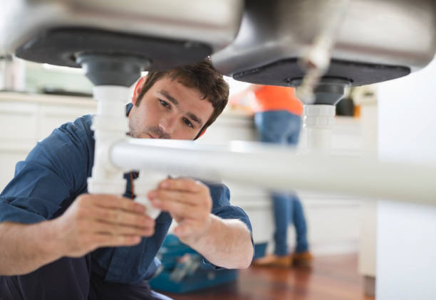 Best Commercial Plumbing Services  in Horseshoe Bend, AR