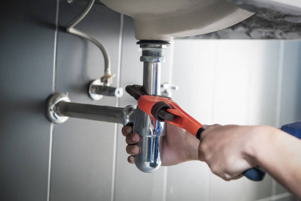 Best Shower Repair Services  in Horseshoe Bend, AR